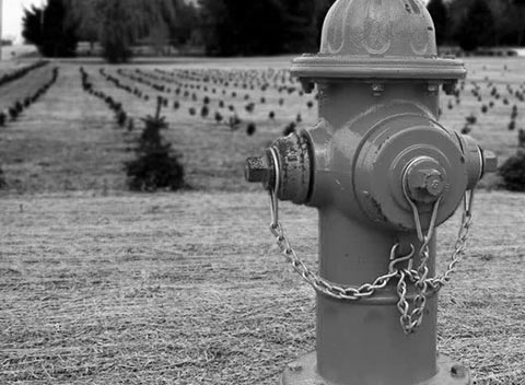 自动化运维的免费短信轰炸机试用